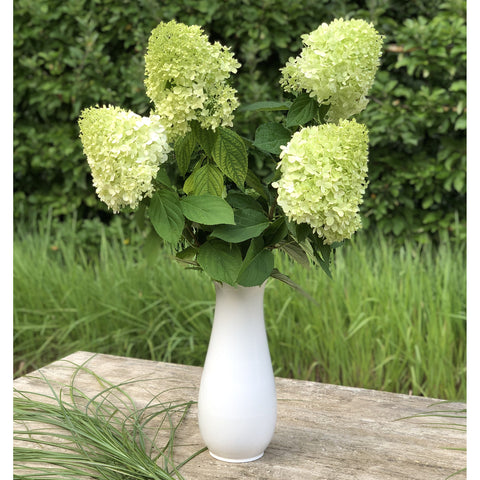 Vase HB 722A | Decor 056-7