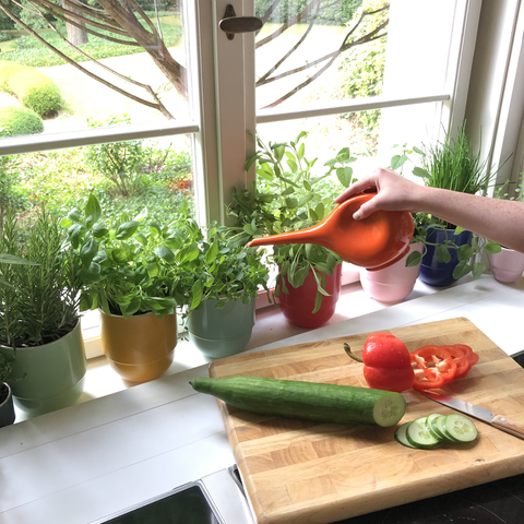 Watering can HB 766 | Decor 000