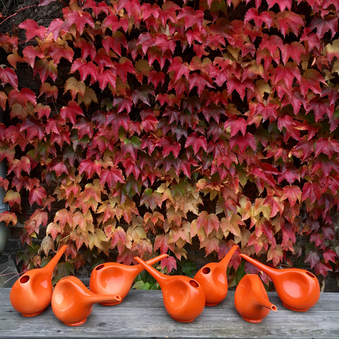 Watering can HB 766 | Decor 100